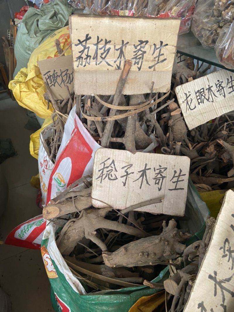 松木寄生桃木寄生杉木寄生五指毛桃寄生等各种寄生