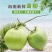 海南椰子/带皮青椰/文昌椰子/带皮椰子全国代办
