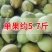 海南椰子/带皮青椰/文昌椰子/带皮椰子全国代办