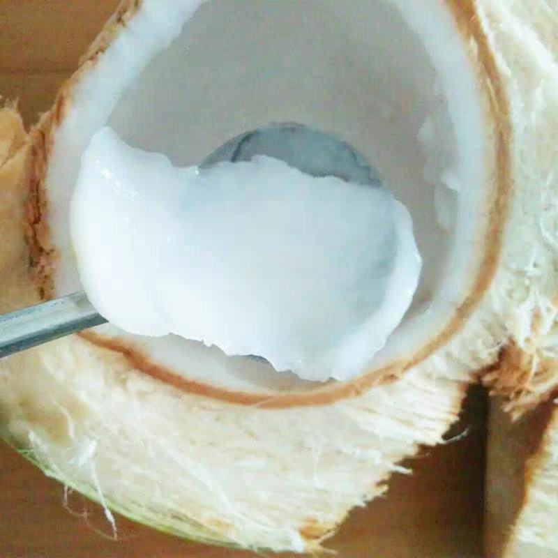 海南椰子/带皮青椰/文昌椰子/带皮椰子全国代办
