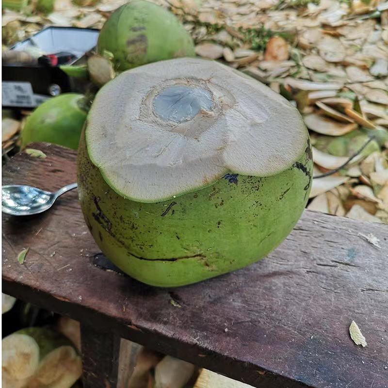海南椰子/带皮青椰/文昌椰子/带皮椰子全国代办