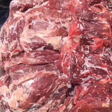 鲜冻羊肉