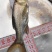 广西花鲢鱼苗大头鱼苗花鲢鱼苗雄鱼鱼苗胖头鱼苗鲢鳙鱼苗