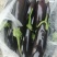 紫长茄，大量现货，欢迎选购产地发货品质好