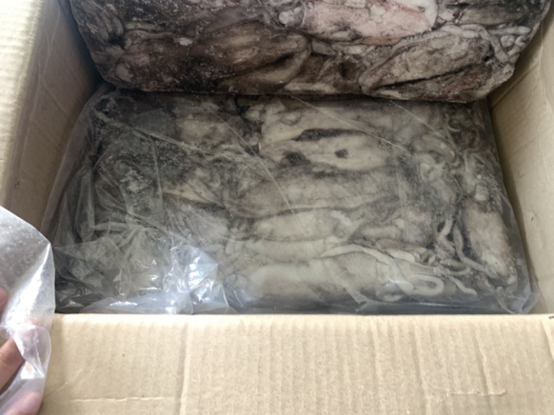 墨鱼，全规格，船冻陆冻都有，按需求联系➕我