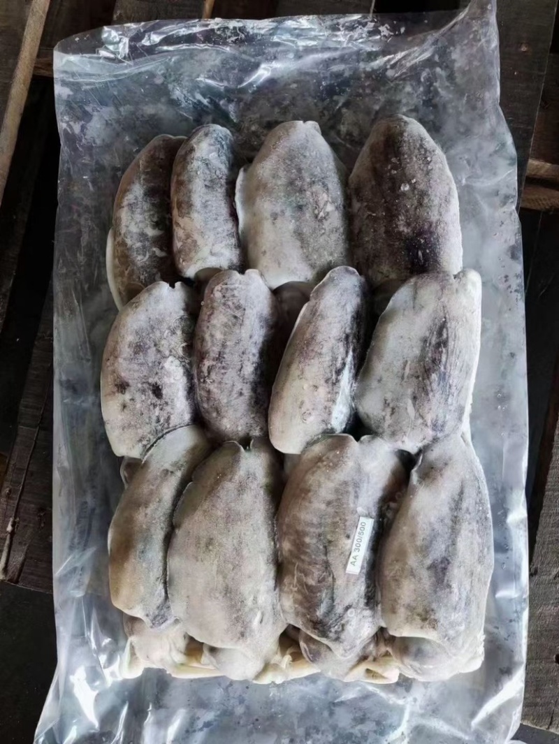 墨鱼，全规格，船冻陆冻都有，按需求联系➕我