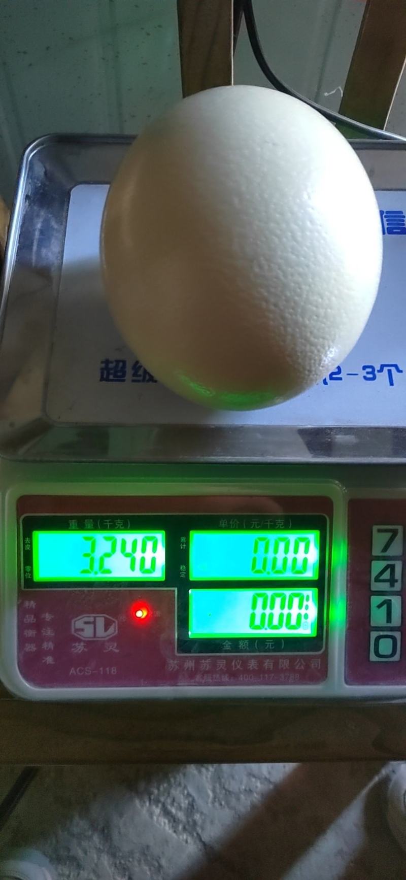 生鲜鸵鸟蛋