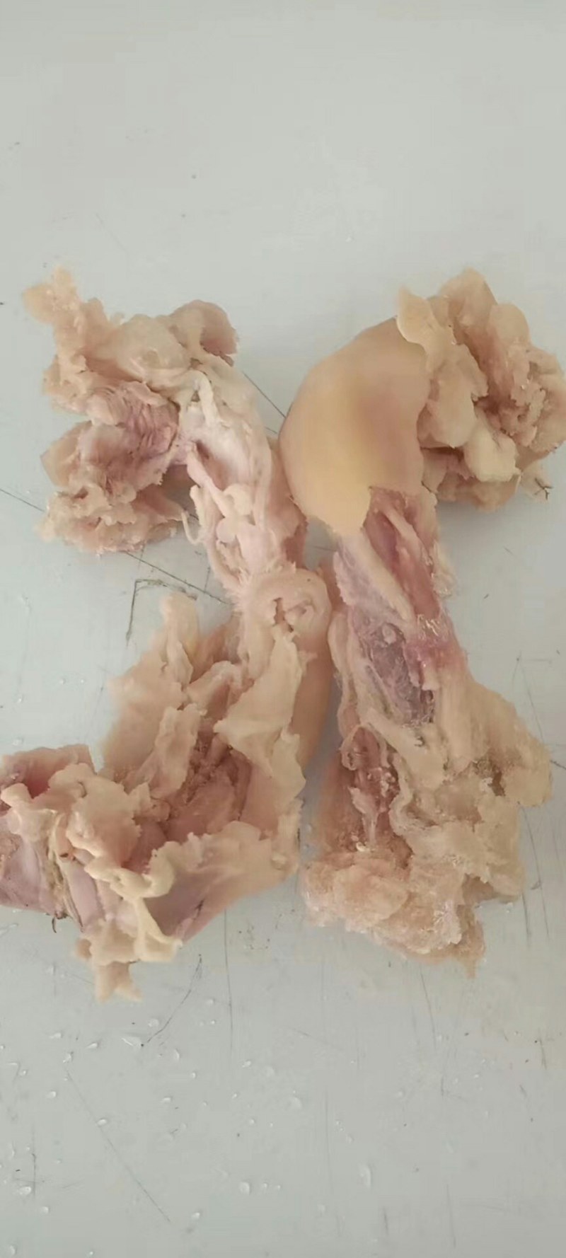 牛蹄筋口感劲道味美鲜嫩全国发货量大从优啊