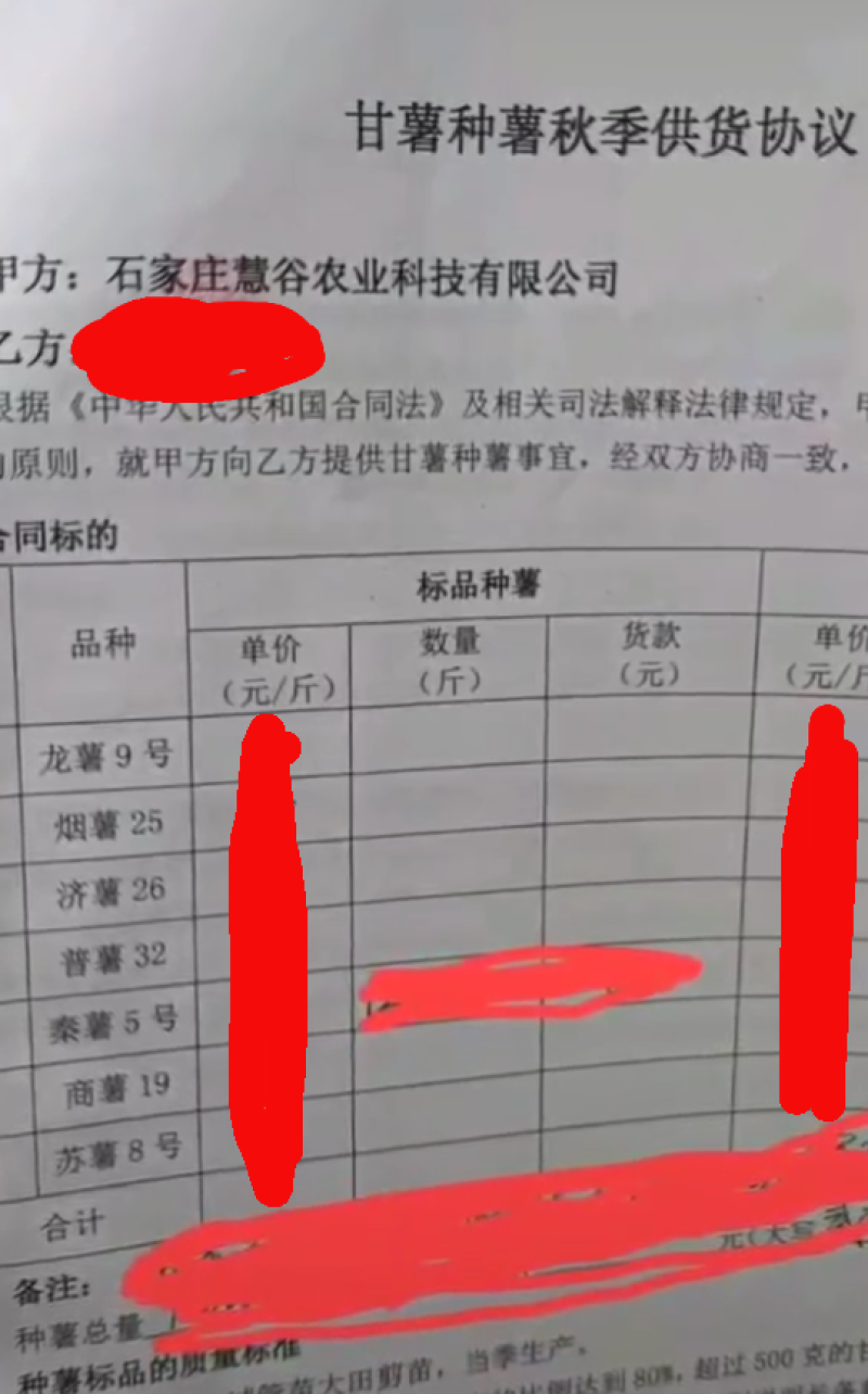 慧谷原种一代高产脱毒秦薯五号板栗红薯苗，全程技术指导。