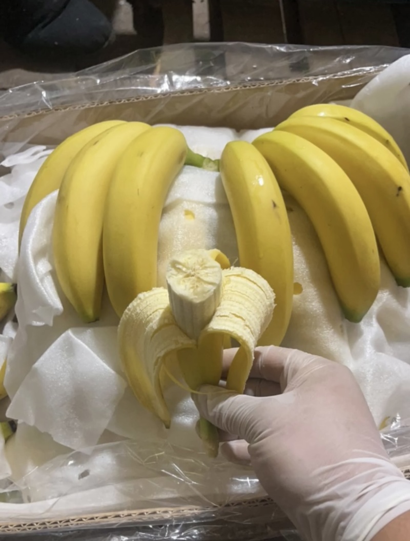 云南蕉广西蕉三把四把蕉不受寒低温蕉果面干净支持全国发货