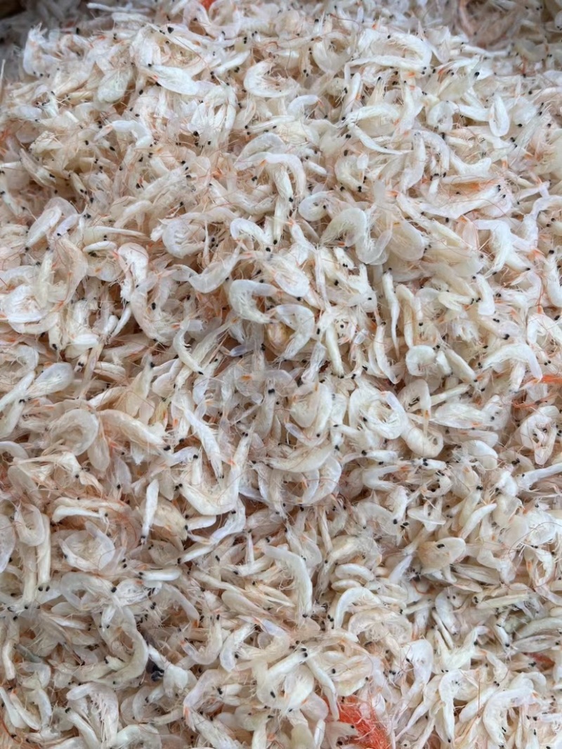 新鲜渤海湾虾皮