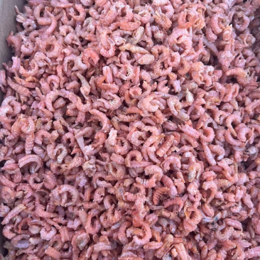 海米