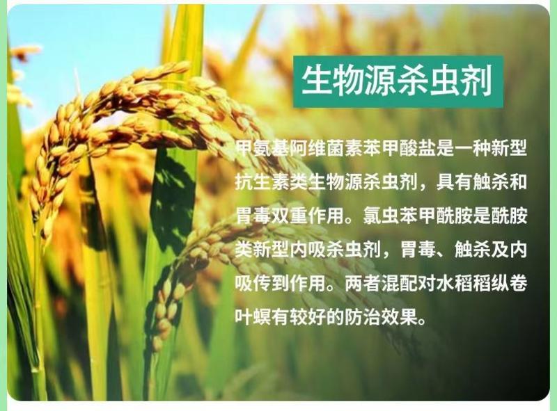 正道锦除11.6%甲维盐氯虫苯甲酰胺水稻稻丛卷叶螟