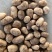 陕北土豆内蒙V7各种货源应有尽有需要的联系