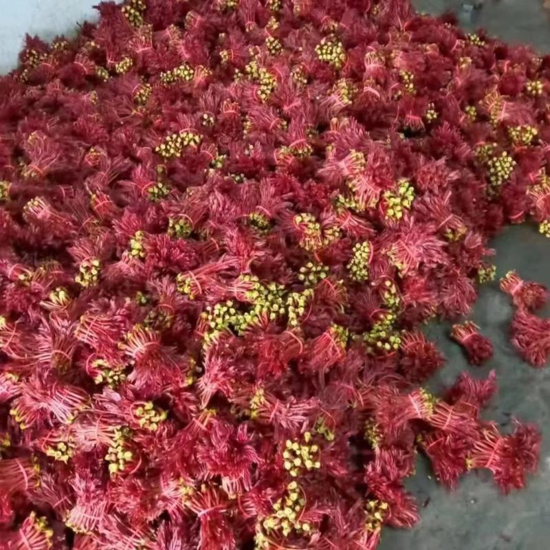 香椿芽，红香椿，贵州香春芽火热上市供应，价格随行就市，