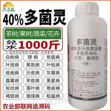 沪联多菌灵炭疽叶斑黑星稻瘟白粉霜霉病果树多肉杀毒通用农药