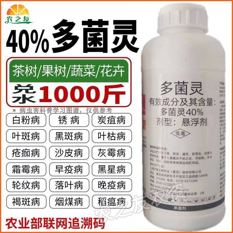 沪联多菌灵炭疽叶斑黑星稻瘟白粉霜霉病果树多肉杀毒通用农药