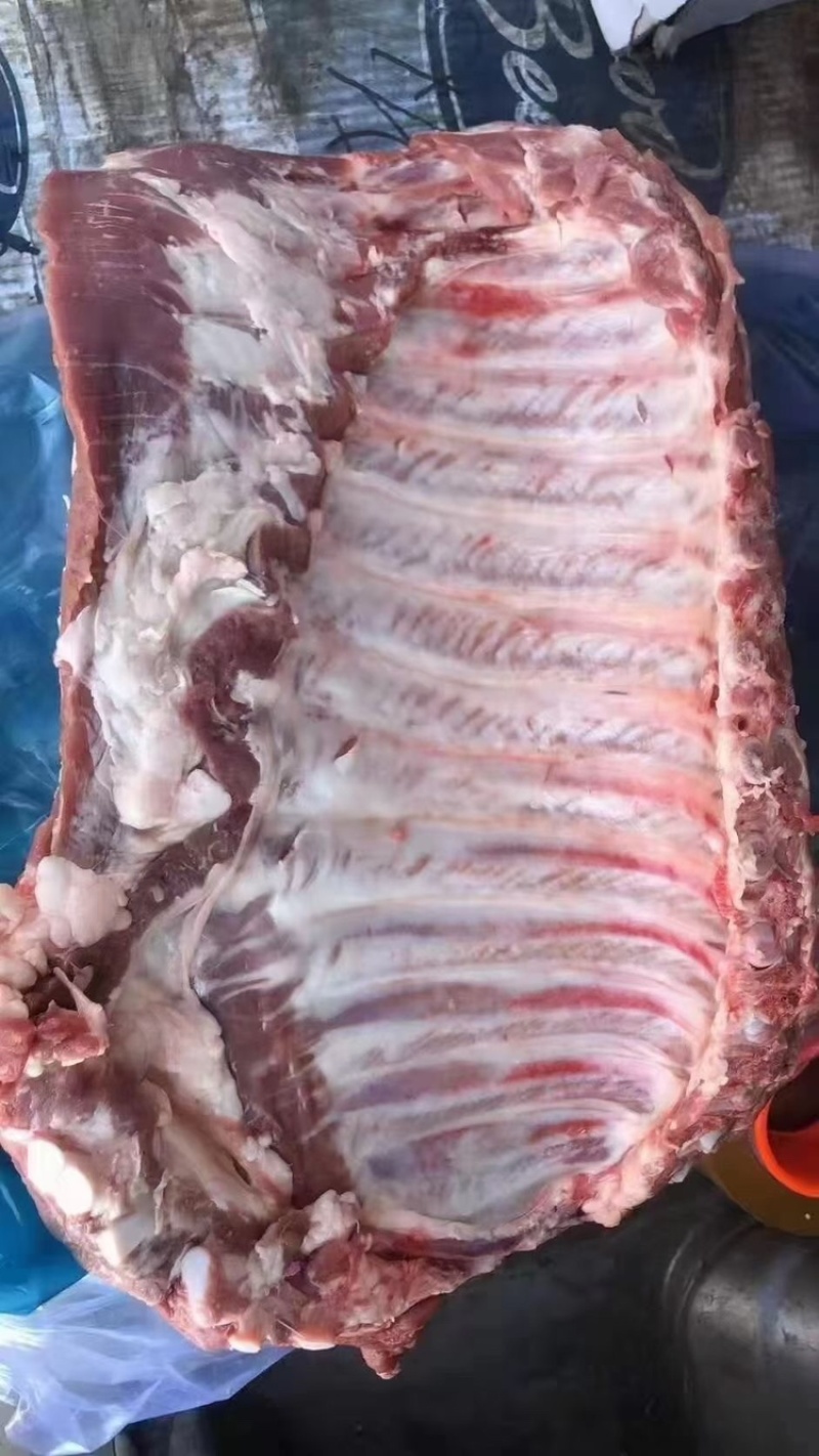 鲜排骨批发肥猪标猪排骨精排净排