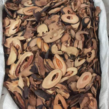 中药材木瓜