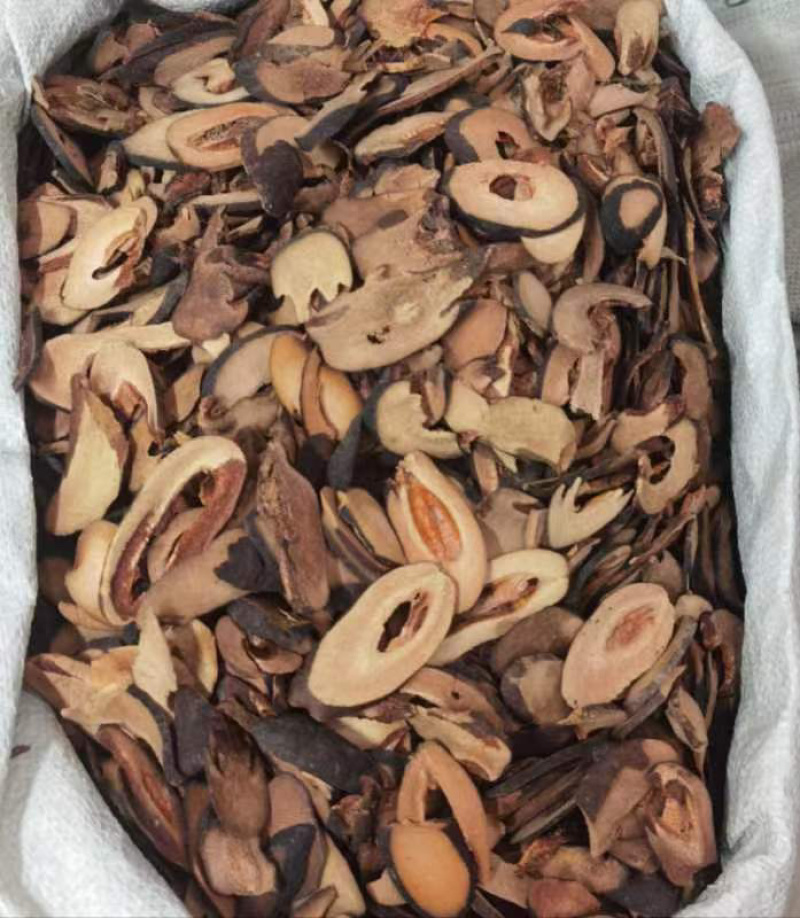 中药材木瓜