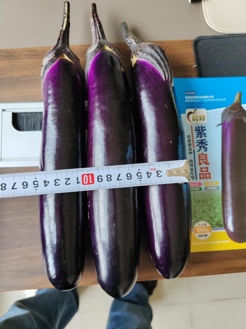 紫秀良品烧烤茄子及普通菜用深紫红色鲜艳有光泽品优质保。