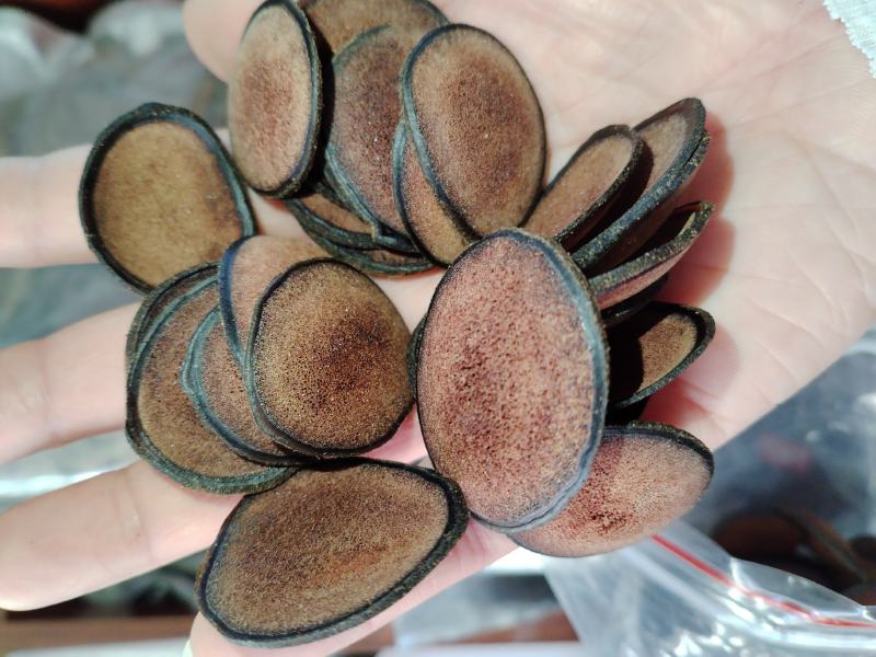 双阳鹿乡鹿茸腊片红粉片泡酒煲汤泡茶批发各种鹿茸片量大从优