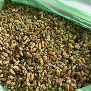 葡萄干新疆葡萄干批发零售各种等级规格