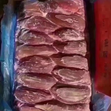 排腱