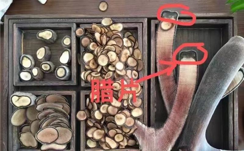 双阳鹿乡鹿茸腊片红粉片泡酒煲汤泡茶批发各种鹿茸片量大从优