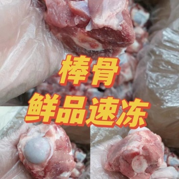 精品鲜冻棒骨