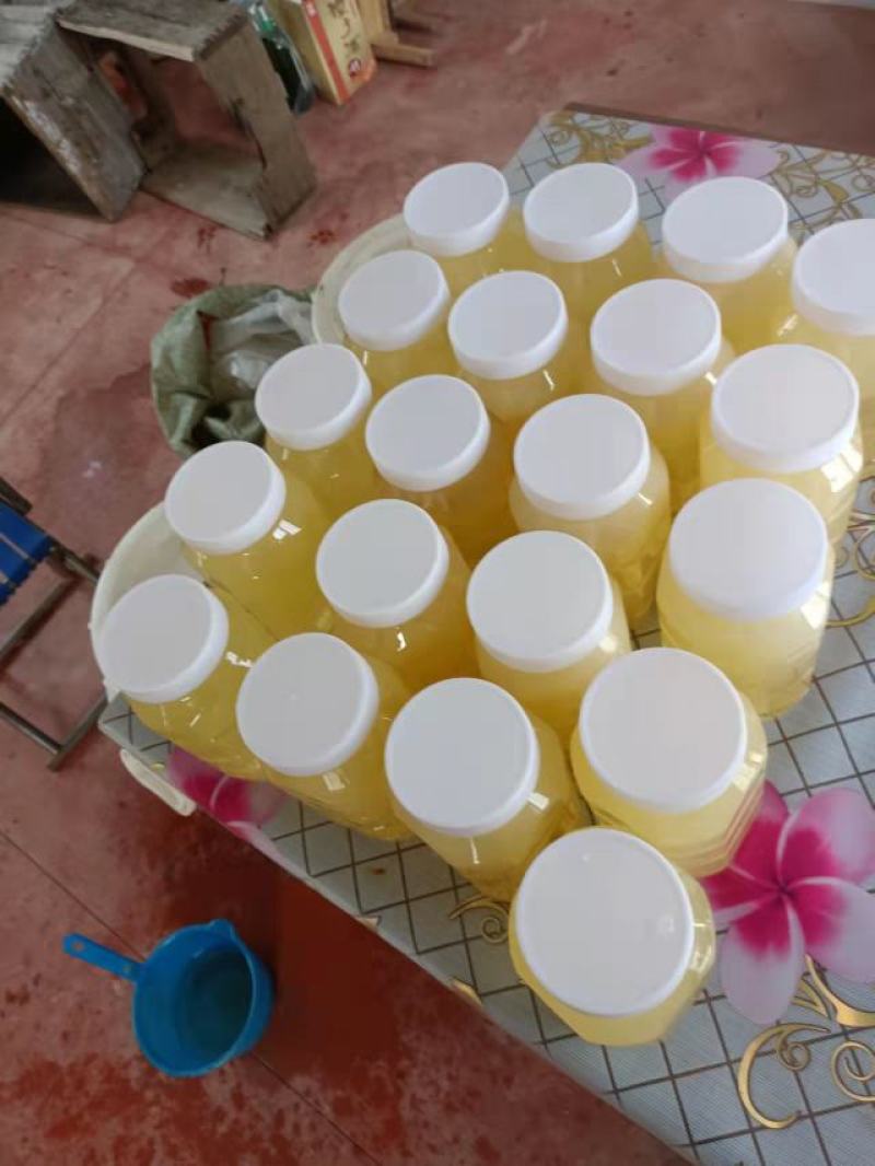 槐花蜜，质量保证，产地直发规格多样，欢迎电联采购