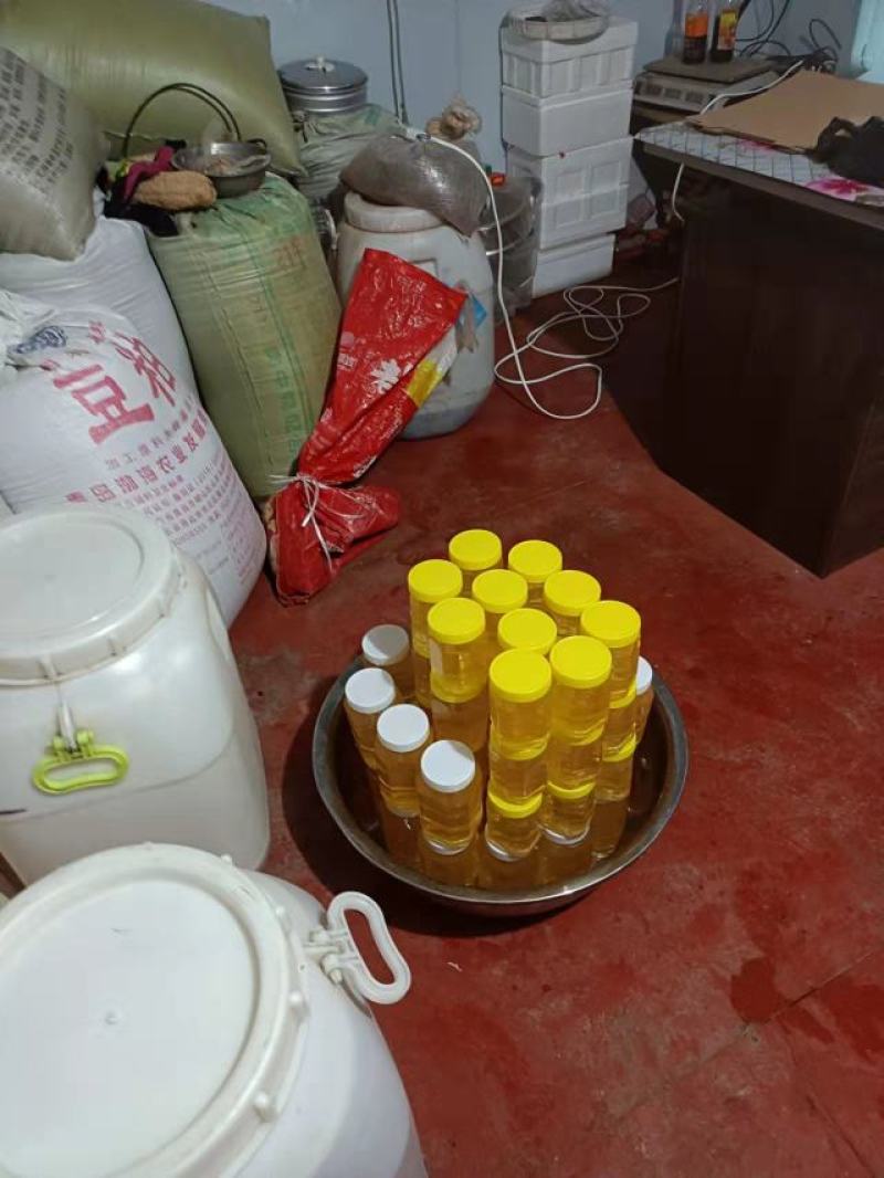槐花蜜，质量保证，产地直发规格多样，欢迎电联采购