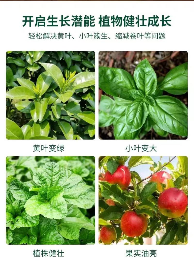 以色列菲拉尔大量元素水溶肥高氮高钾高磷平衡型水溶肥厂家直