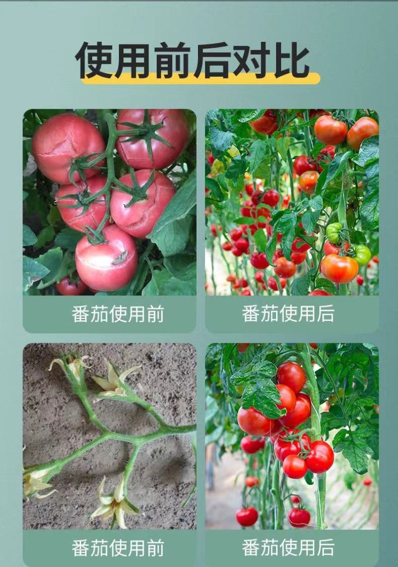 以色列菲拉尔大量元素水溶肥高氮高钾高磷平衡型水溶肥厂家直