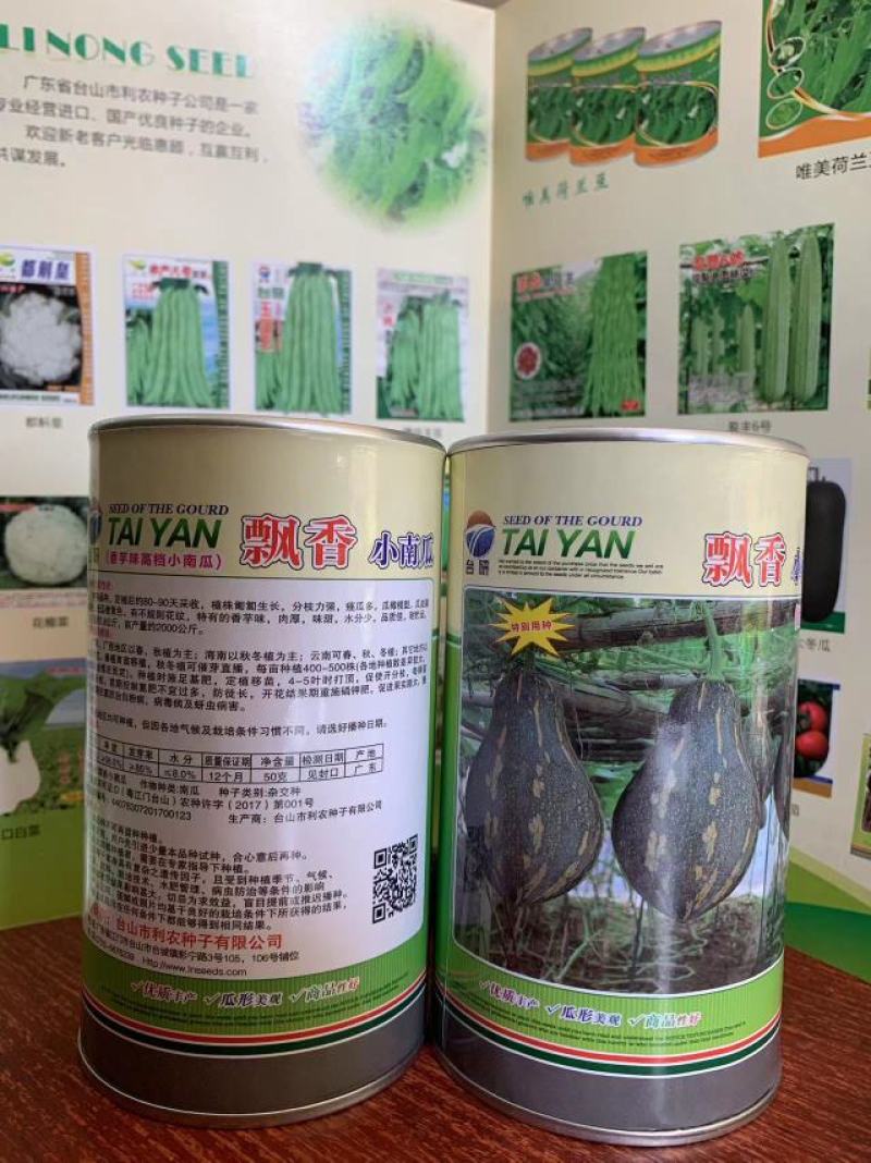 香芋南瓜种子，飘香小南瓜香芋味，厂家货源，产量高，电联