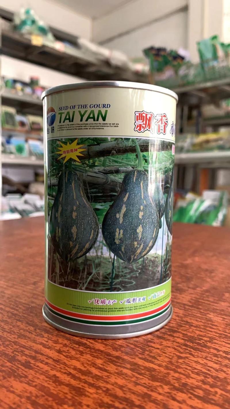 香芋南瓜种子，飘香小南瓜香芋味，厂家货源，产量高，电联