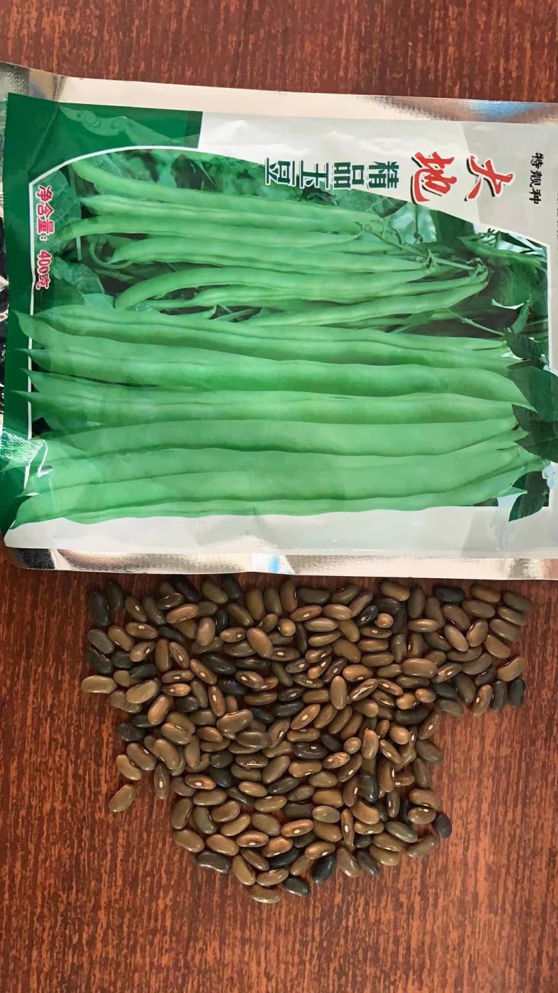 大地精品玉豆种子，小金豆种子，四季豆种子，质量保证电联