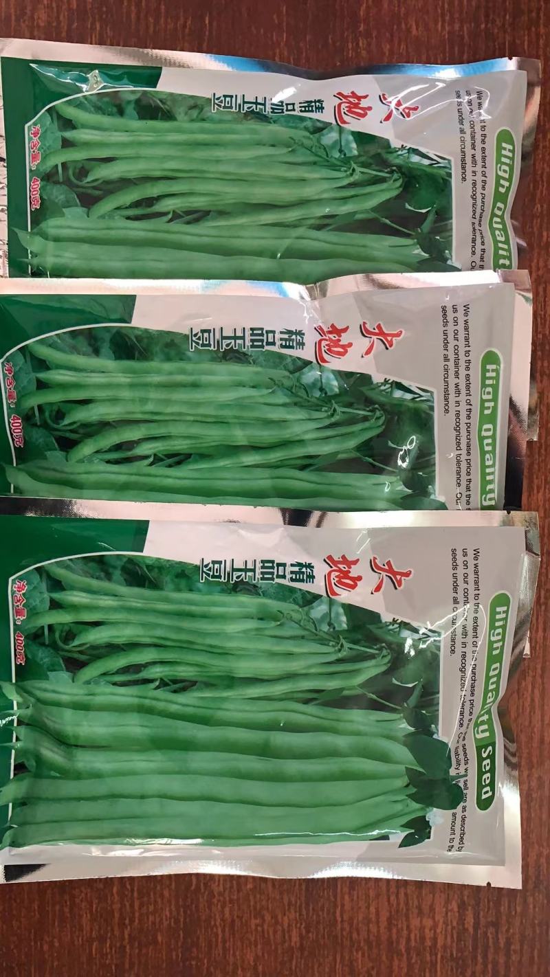 大地精品玉豆种子，小金豆种子，四季豆种子，质量保证电联