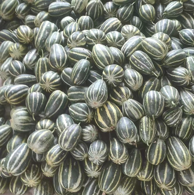 博洋甜瓜花姑娘6172博洋9品类多价格美丽
