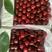 美早大樱桃，红灯樱桃种植基地，质优价廉，新鲜采摘代发全国
