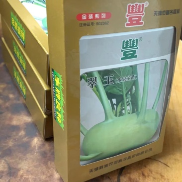 翠玉水果苤蓝种子，球形扁圆，抗病强，质优价廉