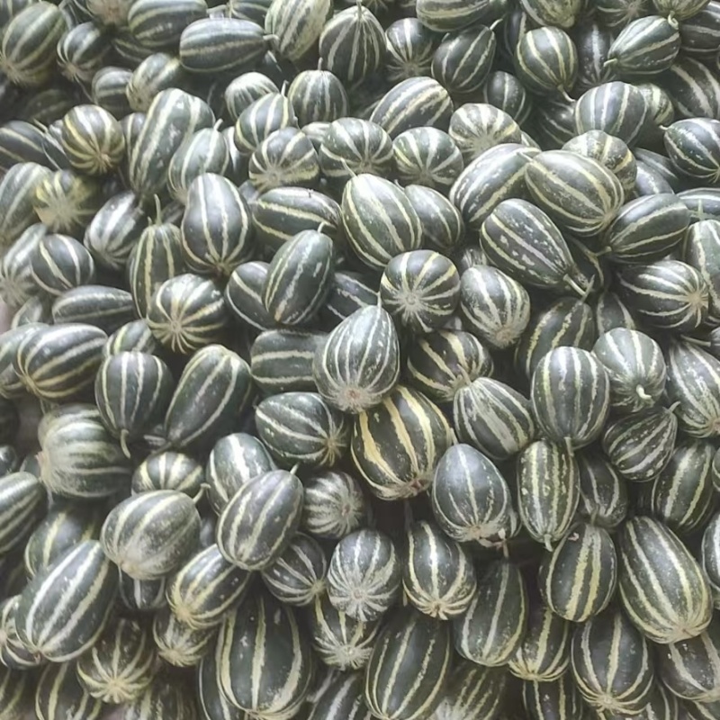 博洋甜瓜花姑娘6172博洋9品类多价格美丽