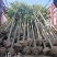 大叶女贞大量供应，2-15公分，规格齐全，欢迎选购