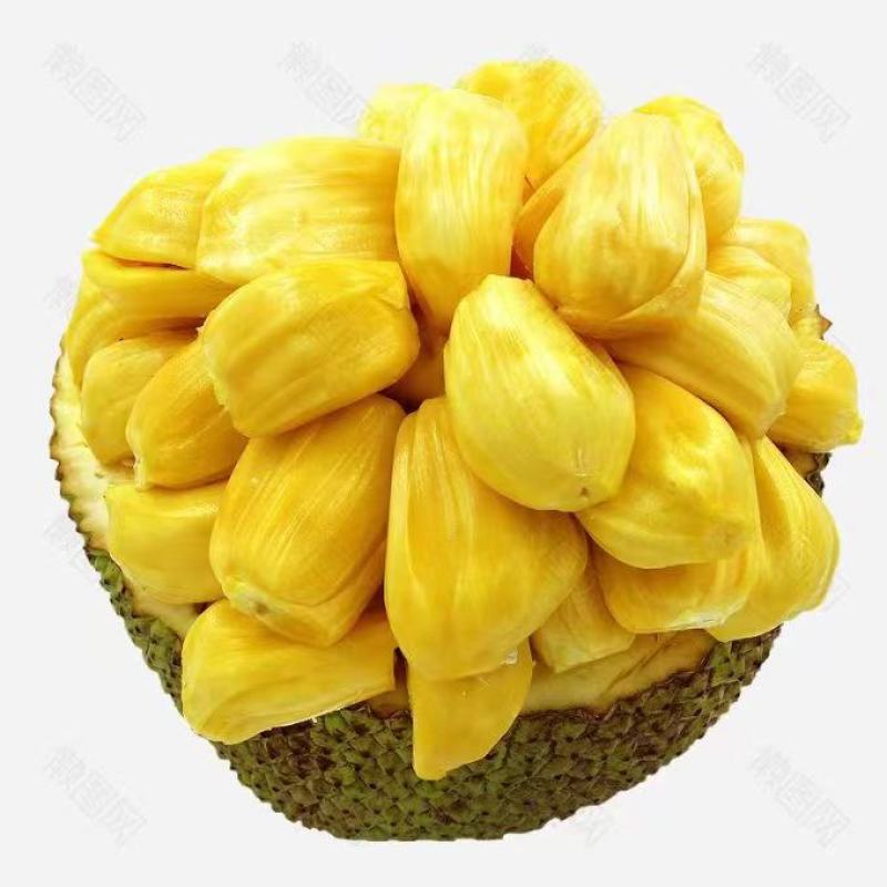 菠萝蜜大量有货，专业代办，价格优惠，质量保证