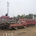 大量供应栾树，5-15公分，规格齐全