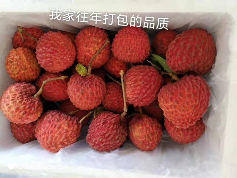 海南火山永兴荔枝王