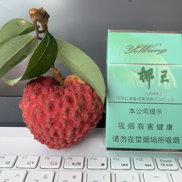 海南火山永兴荔枝王