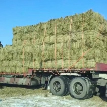 披碱草磕头机包，揉丝除尘小方包等，水分安全质量无忧！