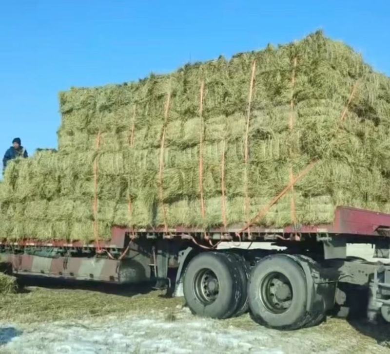 披碱草磕头机包，揉丝除尘小方包等，水分安全质量无忧！