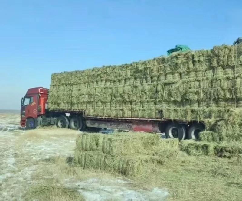 披碱草磕头机包，揉丝除尘小方包等，水分安全质量无忧！